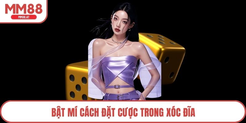 Bật mí cách đặt cược trong xóc đĩa