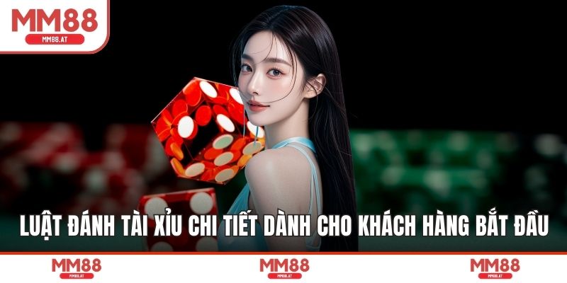 Luật Đánh Tài Xỉu Chi Tiết Dành Cho Khách hàng Bắt Đầu
